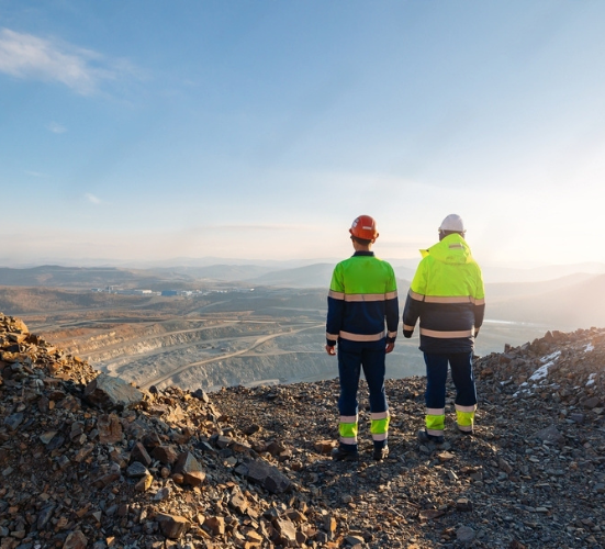 consultants at site
